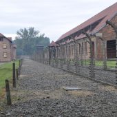  Auschwitz